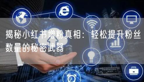 揭秘小红书增粉真相：轻松提升粉丝数量的秘密武器